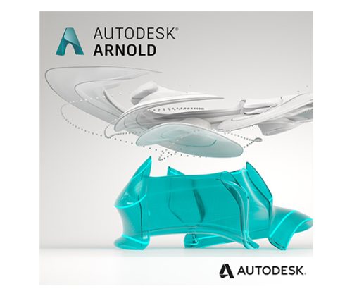 Autodesk Arnold 2024